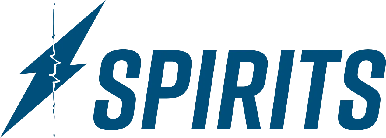 株式会社SPIRITS（スピリッツ）｜専属Webチーム｜御社のWeb戦略をゼロから作り、遂行します