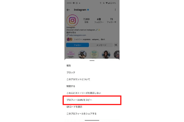 InstagramのプロフィールURLをコピーの選択画面