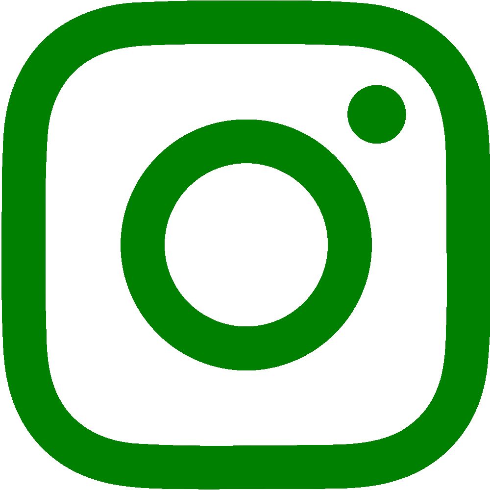 背景透過したInstagramのロゴ（グリーン）